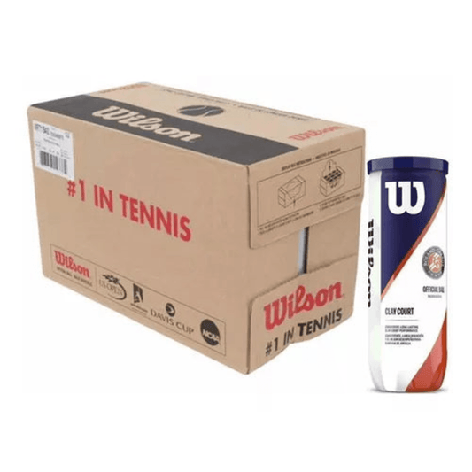 Caja Bolas Wilson Roland Garros X24